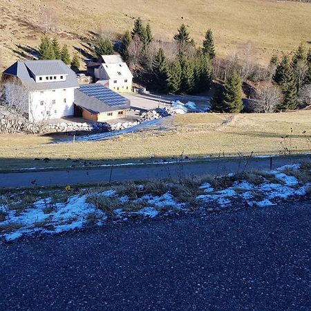 Ferienwohnung Natururlaub Muggenbrunn Todtnau Eksteriør bilde