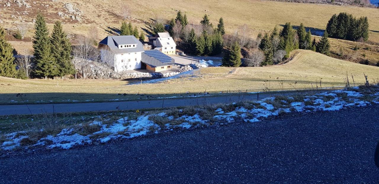 Ferienwohnung Natururlaub Muggenbrunn Todtnau Eksteriør bilde